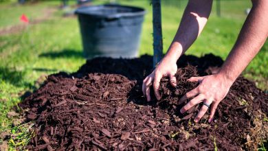 Efficiency and Savings: A Practical Guide to Bulk Mulch Delivery in Ohio
